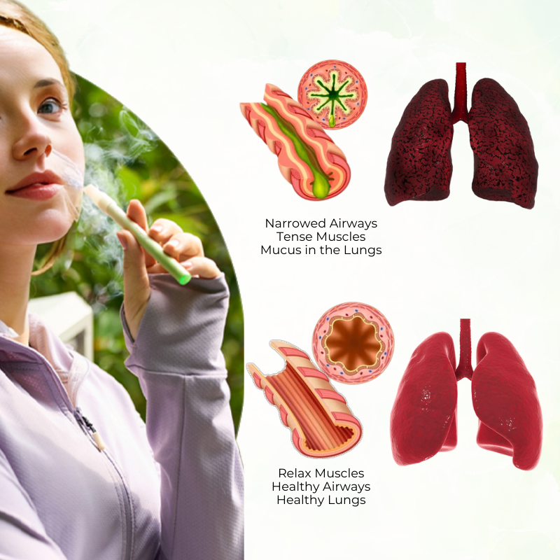 Timilk® HerbaAir Mullein Lung Purifier.